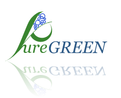 Sigla (logo) PureGREEN - Brand si identitate