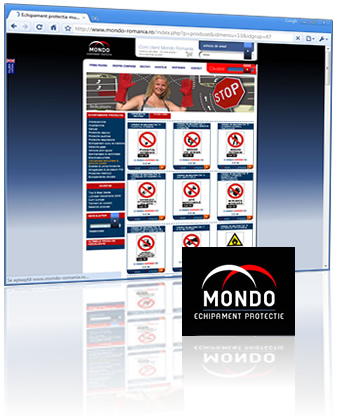 Web Design for Business - Mondo Romania