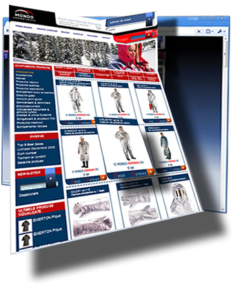 Web Design for Business - Mondo Romania