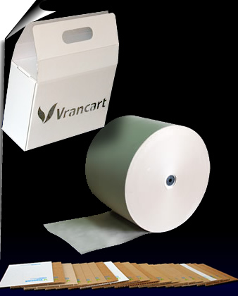 Web Design Vrancart Adjud