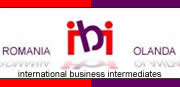 Web site design Bucuresti, Romania: IBI Services
