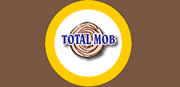 Web Design Romania Logic Industry: Presentation Web Site